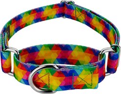 Country Brook Petz Kaleidoscope Martingale Dog Collar, Large: 18 to 26-in neck, 1-in wide