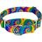 Show in main carousel: Country Brook Petz Classic Tie Dye Martingale Dog Collar, Large: 18 to 26-in neck, 1-in wide slide 1 of 7