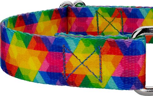 Show full view: Country Brook Petz Kaleidoscope Martingale Dog Collar, Large: 18 to 26-in neck, 1-in wide slide 5 of 5