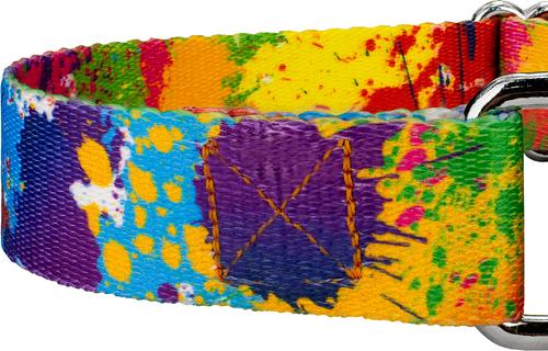 Show full view: Country Brook Petz Paint Splatter Martingale Dog Collar, Medium: 15 to 21-in neck, 1-in wide slide 7 of 7
