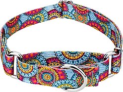 Country Brook Petz Sky Mandala Martingale Dog Collar, Medium: 15 to 21-in neck, 1-in wide