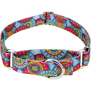 Country Brook Petz Sky Mandala Martingale Dog Collar, X-Large: 23 to 31-in neck, 1-in wide