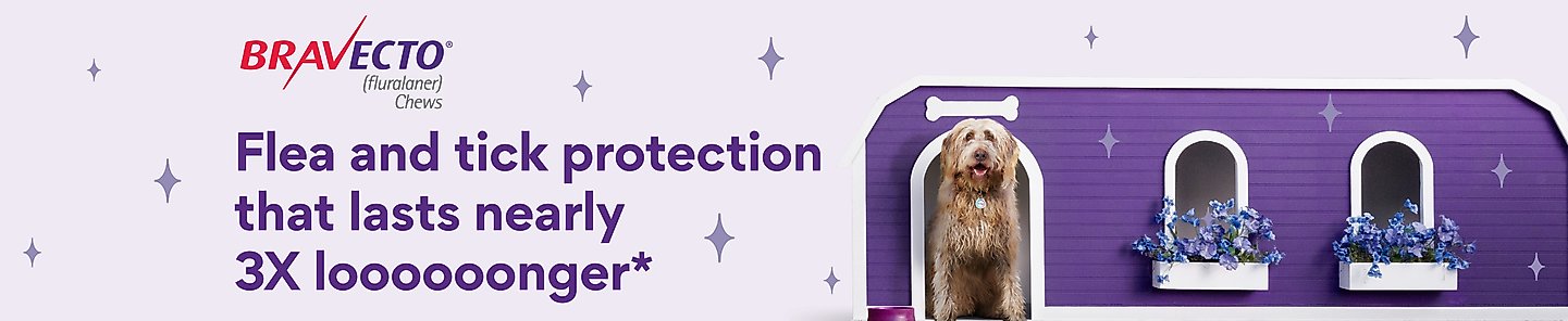 Bravecto (fluralaner) Chews. The number one longest-lasting chew* for flea and tick protection