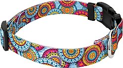 Country Brook Petz Deluxe Sky Mandala Dog Collar, Small: 11 to 13-in neck, 5/8-in wide slide 2 of 7