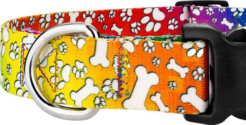 Show full view: Country Brook Petz Deluxe Trippy Doggo Dog Collar, XX-Small: 7 to 9-in neck, 1/2-in wide slide 7 of 7
