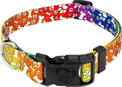 Country Brook Petz Deluxe Trippy Doggo Dog Collar, XX-Small: 7 to 9-in neck, 1/2-in wide