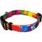 Show in main carousel: Country Brook Petz Deluxe Paint Splatter Dog Collar, Large: 16 to 22-in neck, 1-in wide slide 5 of 8