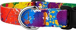Country Brook Petz Deluxe Paint Splatter Dog Collar, Large: 16 to 22-in neck, 1-in wide slide 2 of 7