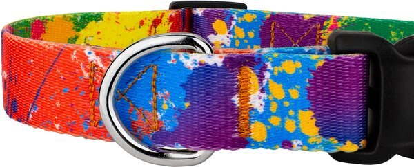Country Brook Petz Premium Paint Splatter Dog Collar