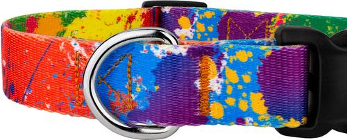 Show full view: Country Brook Petz Deluxe Paint Splatter Dog Collar, Large: 16 to 22-in neck, 1-in wide slide 7 of 8