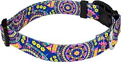 Country Brook Petz Deluxe Blue Boho Mandala Dog Collar, X-Small: 9 to 11-in neck, 1/2-in wide slide 2 of 6