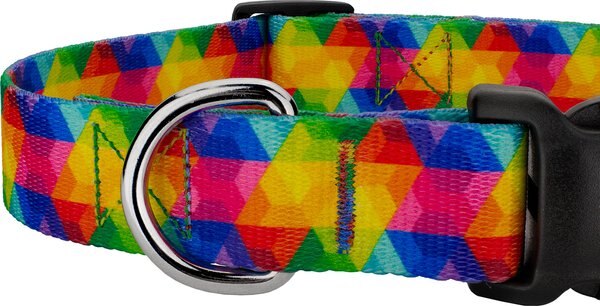 Country Brook Petz Deluxe Kaleidoscope Dog Collar