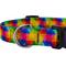 Show in main carousel: Country Brook Petz Deluxe Kaleidoscope Dog Collar, Large: 16 to 22-in neck, 1-in wide slide 5 of 5