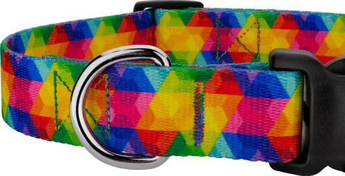Show full view: Country Brook Petz Deluxe Kaleidoscope Dog Collar, Large: 16 to 22-in neck, 1-in wide slide 5 of 5