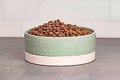 10 Strawberry Street Paw Pattern Cat Dish, Set of 2, Sage, Small slide 2 of 5