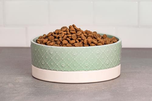 Show full view: 10 Strawberry Street Paw Pattern Cat Dish, Set of 2, Sage, Small slide 3 of 5