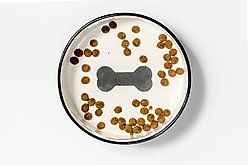 10 Strawberry Street HerringBONE Pattern Dog Bowl, Set of 2, Black, Small slide 2 of 5