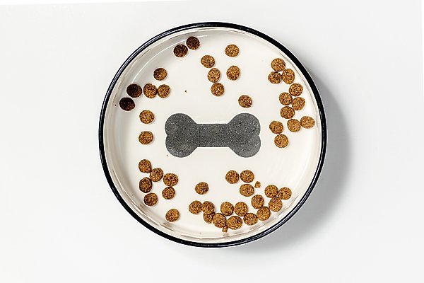 Show full view: 10 Strawberry Street HerringBone Pattern Dog Dish, Set of 2, Black, Medium slide 4 of 5