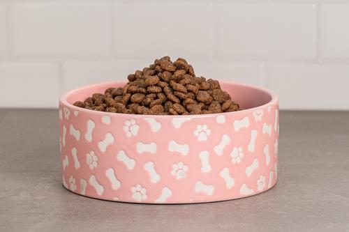 Show full view: 10 Strawberry Street Bone & Paw Pattern Dog Dish, Set of 2, Pink, Medium slide 4 of 6