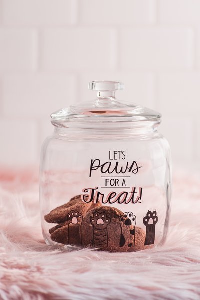 10 Strawberry Street Maxwell Dog Treat Canister, Pink, Medium