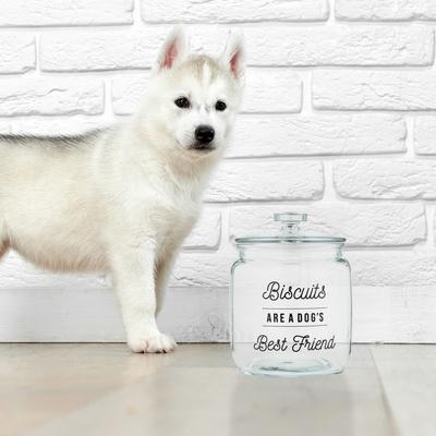 Show full view: 10 Strawberry Street "Biscuts…Best Friend" Dog Treat Canister, Clear, Large slide 3 of 5