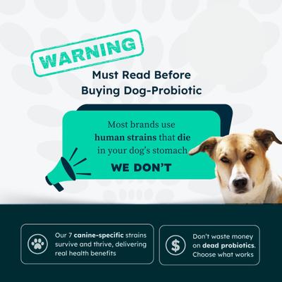 Show full view: PetCultures Daily Probiotics Digestive Aid Powder Supplement for Dogs, 30 count slide 7 of 10