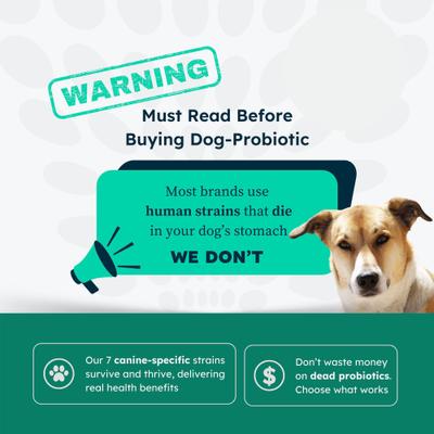 Show full view: PetCultures Hip & Joint Powder Supplement for Dogs, 30 count slide 7 of 10