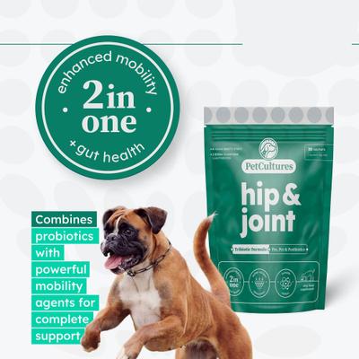 Show full view: PetCultures Hip & Joint Powder Supplement for Dogs, 30 count slide 4 of 10
