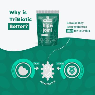 Show full view: PetCultures Hip & Joint Powder Supplement for Dogs, 30 count slide 5 of 10