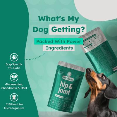 Show full view: PetCultures Hip & Joint Powder Supplement for Dogs, 30 count slide 3 of 10