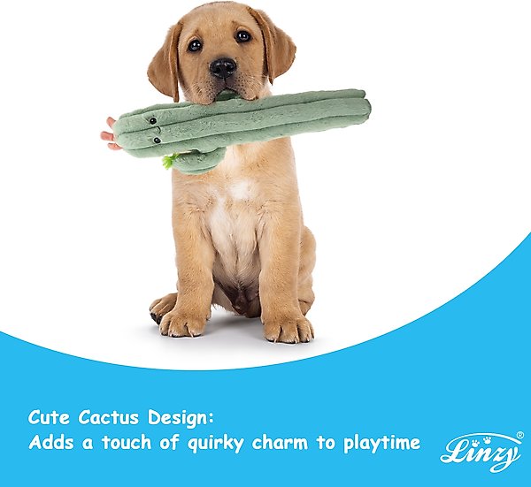 Show full view: Linzy Toys Long Pals Cactus Squeaky Plush Dog Toy, Green, 20-in slide 5 of 5