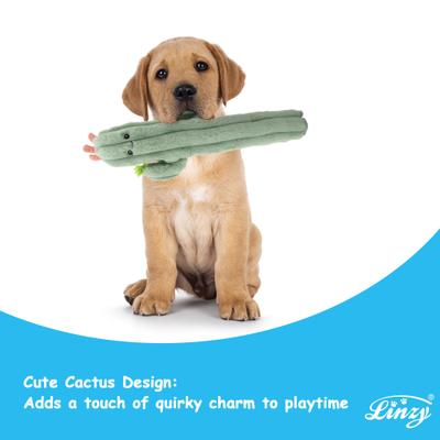 Show full view: Linzy Toys Long Pals Cactus Squeaky Plush Dog Toy, Green, 20-in slide 5 of 6