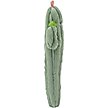Show in main carousel: Linzy Toys Long Pals Cactus Squeaky Plush Dog Toy, Green, 20-in slide 4 of 5