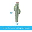 Show in main carousel: Linzy Toys Long Pals Cactus Squeaky Plush Dog Toy, Green, 20-in slide 3 of 5