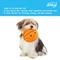 Show in main carousel: Linzy Toys Basketball & Football Squeaky Plush Dog Toys, Orange/Brown, 5-in, 2 count slide 4 of 5
