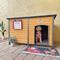 Show in main carousel: Aivituvin AIR63-IN Insulated Dog House, Brown slide 2 of 10