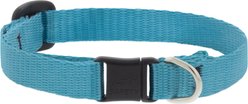 LupinePet Basic Nylon Breakaway Buckle Safety Cat Collar, One Size: 8-12 in neck, 1/2-in wide, Aqua