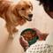 Show in main carousel: Jinx Salmon & Vegetables Recipe Grain-Free Wet Dog Food, 13-oz can, case of 12 slide 10 of 11