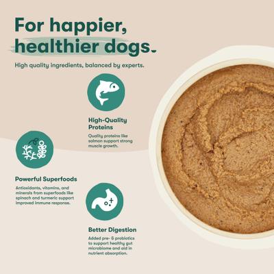 Show full view: Jinx Salmon & Vegetables Recipe Grain-Free Wet Dog Food, 13-oz can, case of 12 slide 5 of 11