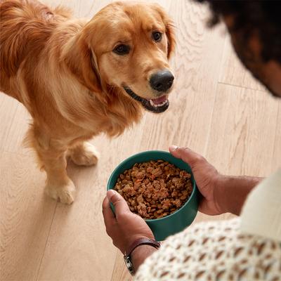 Show full view: Jinx Beef & Vegetables Recipe Grain-Free Wet Dog Food, 13-oz can, case of 12 slide 10 of 11