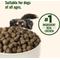 Show in main carousel: Nutrish Grain-Free Chicken & Sweet Potato Recipe Dry Dog Food, 26-lb bag (Rachael Ray) slide 6 of 12