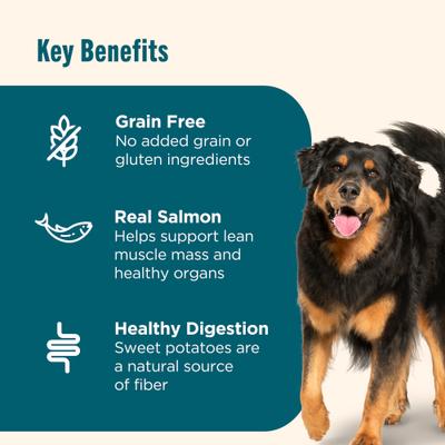 Show full view: Rachael Ray Nutrish Salmon & Sweet Potato Recipe + Savory Roasters Roasted Chicken Recipe Dog Treats slide 5 of 9