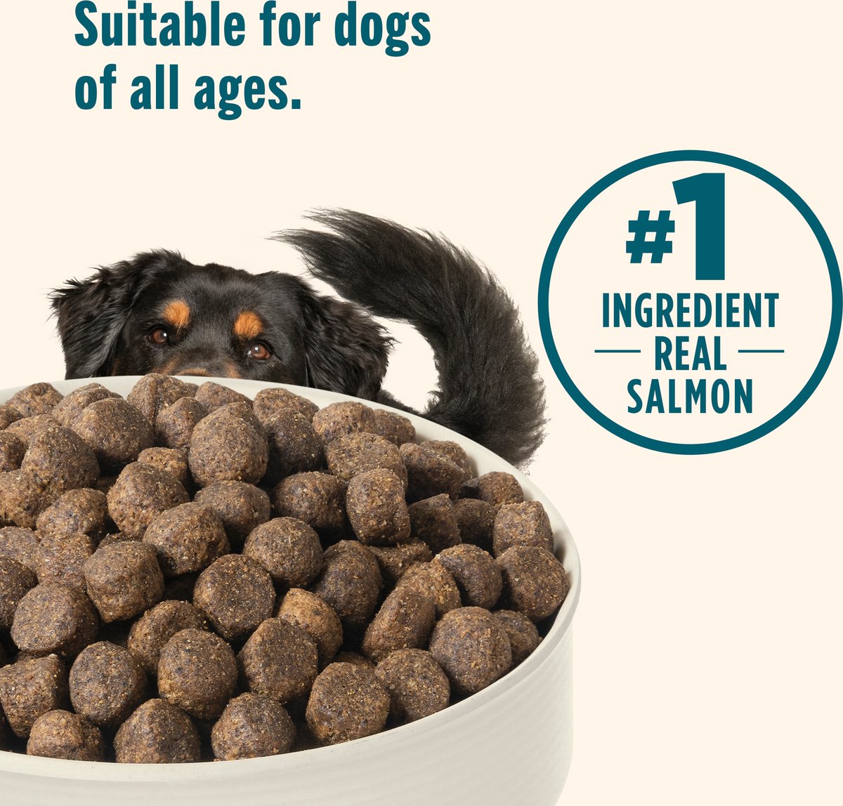 Nutrish Grain-Free Salmon & Sweet Potato Recipe Dry Dog Food