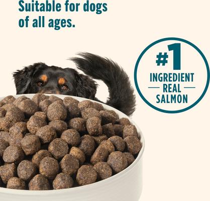 Show full view: Nutrish Grain-Free Salmon & Sweet Potato Recipe Dry Dog Food, 11.5-lb bag (Rachael Ray) slide 6 of 12