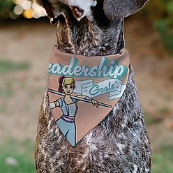 Buckle-Down Disney Toy Story Bo Peep Leadership Goals Slip-On Dog Bandana, Pink slide 2 of 7