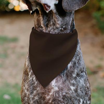 Show full view: Buckle-Down Halloween Jack O Lantern Pumpkin Slip-On Dog Bandana, Black slide 6 of 7
