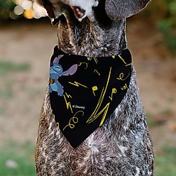 Buckle-Down Disney Stitch & Scrump Ukulele Jam Slip-On Dog Bandana, Black slide 2 of 6