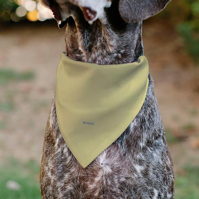 Show full view: Buckle-Down Disney Snow White Smiling Face Slip-On Dog Bandana, Yellow slide 5 of 6