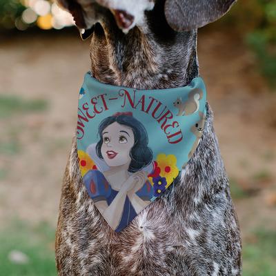 Show full view: Buckle-Down Disney Snow White Sweet Natured Slip-On Dog Bandana, Blue slide 5 of 7