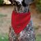 Show in main carousel: Buckle-Down Peanuts Snoopy Smiling Slip-On Dog Bandana, Red slide 5 of 6